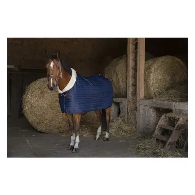 Horse blanket Equithème Teddy 0g