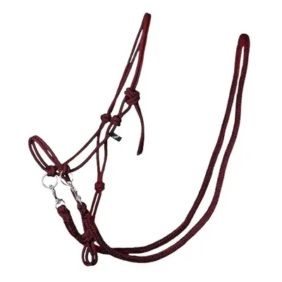 Halter for horse QHP