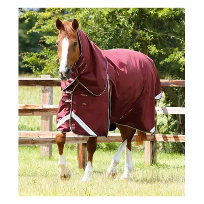 Waterproof outdoor horse blanket with neck cover Premier Equine Buster 0 g