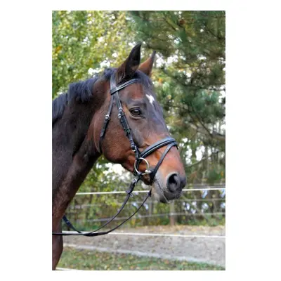 Snaffle bridle classic Kerbl