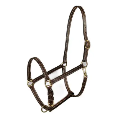 Halter for horse Horze Fremont