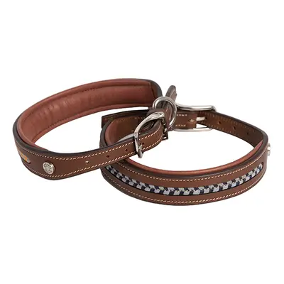 Leather dog collar Antarès