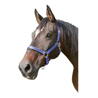 Halter pony 2 settings Kerbl mustang