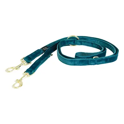 Dog leash Kentucky Velvet 200 cm