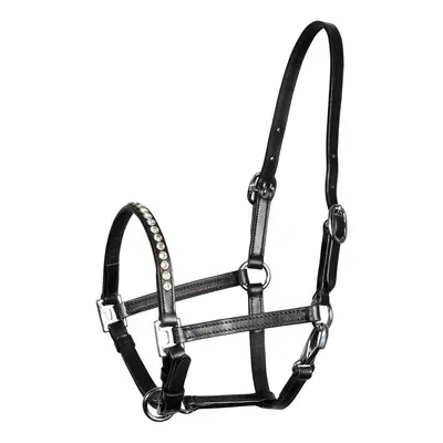 Leather halter for foal with crystal Harry's Horse