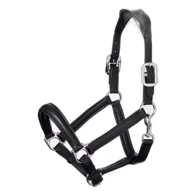 Halter for horse LeMieux Anatomic