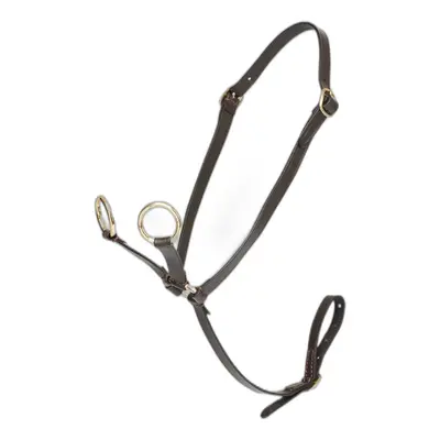 Pony martingale LeMieux