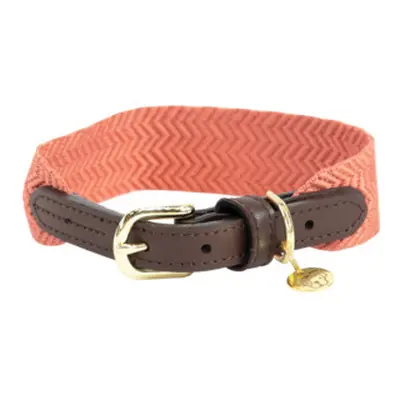 Dog collar Kentucky Jacquard