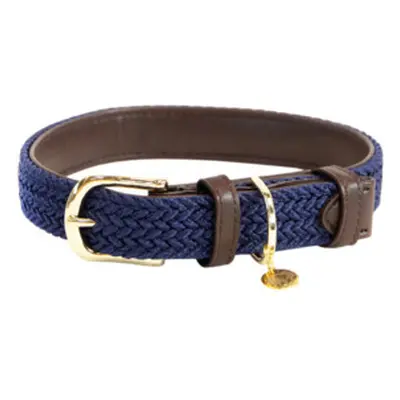 Braided nylon dog collar Kentucky