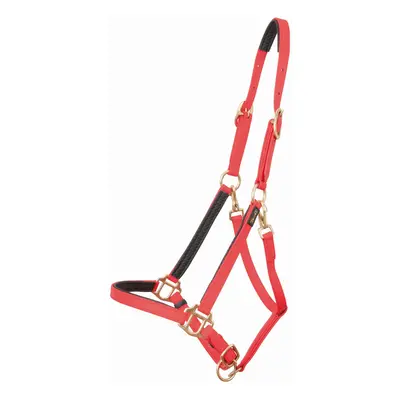 Halter for horse T de T Biotack®