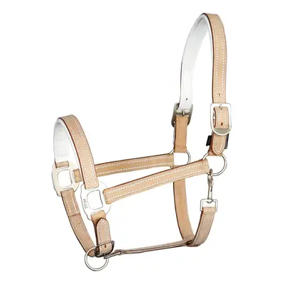 Leather halter for horses Harry's Horse Cremello