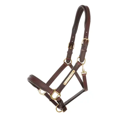 Horse halter Kavalkade Cinta