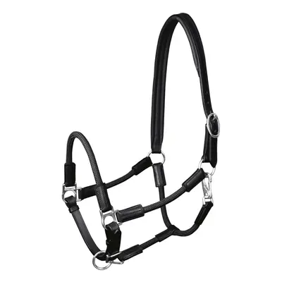 Halter for horse Waldhausen Nevada