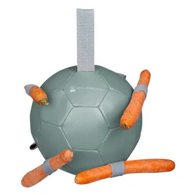 Carrot ball Waldhausen