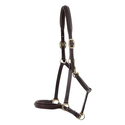 Leather padded horse halter Premier Equine