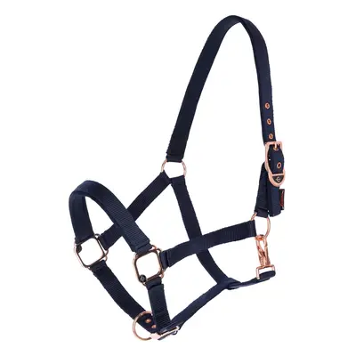 Halter for horse Covalliero Classy