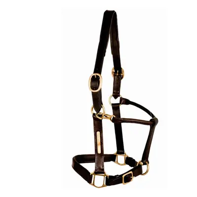 Leather halter for horse quilted skin Tattini