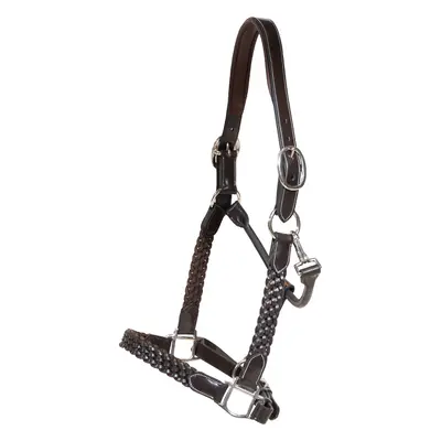 Braided leather halter for horse Dy’on