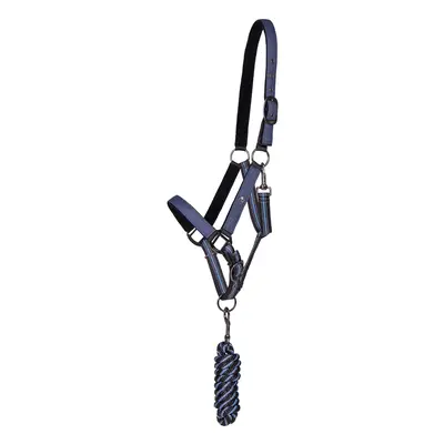 Halter and lead rope set for horse QHP Sapphire