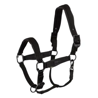 Halter BR Equitation Fedde