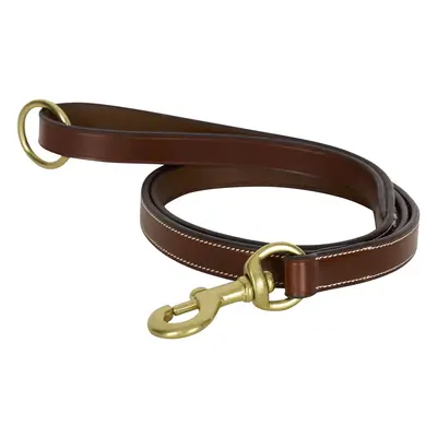 Dog leash HV Polo Legacy