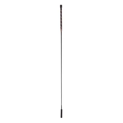 Dressage riding crop Imperial Riding Regal Shine