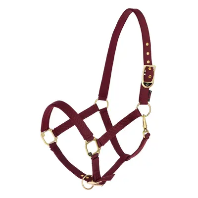 Halter for horse Covalliero Classy