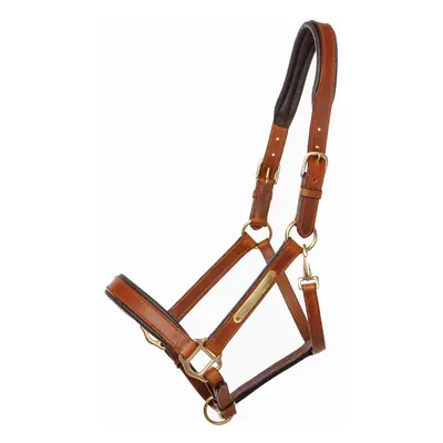 Horse halter Kavalkade Cinta