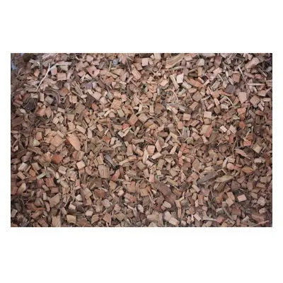 Substrate Reptiles Planet Coco Chips