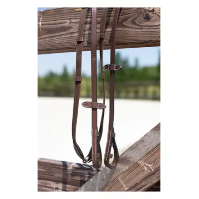 Canvas horse reins with leather buckles HFI