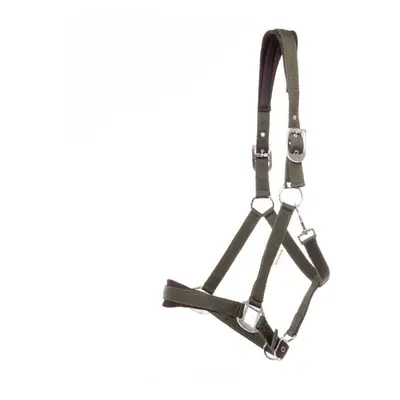 Halter for horse Kavalkade Perlon Classic-Simple