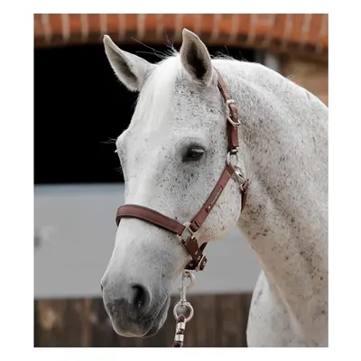 Halter for plain horse Premier Equine