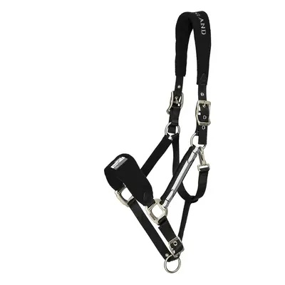 Halter for horse Kingsland Classic