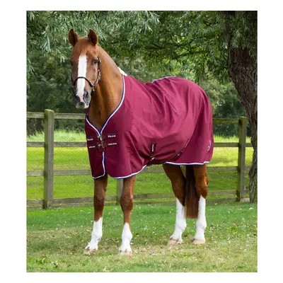 Horse Stable Blanket Premier Equine Stratus