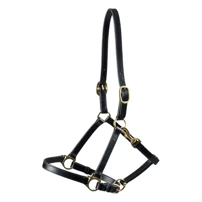 Leather halter for horses Premier Equine