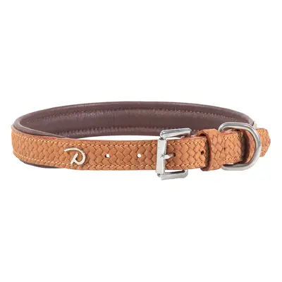 Basketball collar for dogs Dy’on