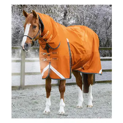 Waterproof outdoor horse blanket with neck cover Premier Equine Buster Combo 400g