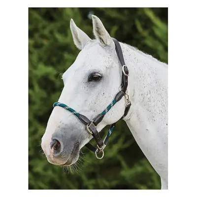 Leather halter for horses Kincade