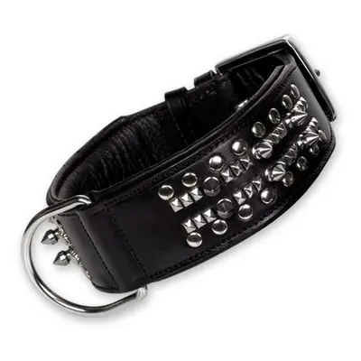 Leather dog collars Nobby Pet Delgado