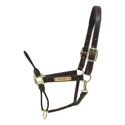 Leather halter for horses Kentucky reins