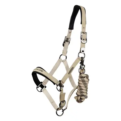 Nylon halter for horse Premier Equine Duco