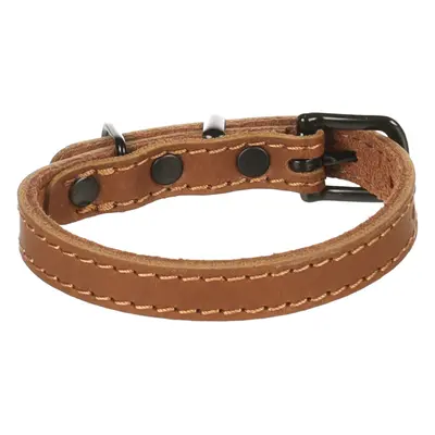 Dog collar Flamingo Montana