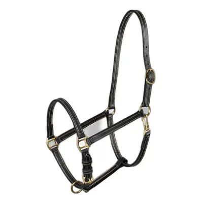 Halter for horse Horze Fremont