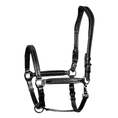 Leather halter for horses Harry's Horse Supreme