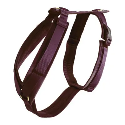 Active dog harness Kentucky Velvet