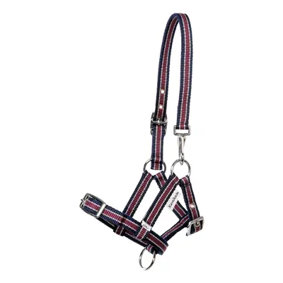 Halter for foals and yearlings Kavalkade