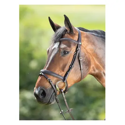 Riding bridles HFI Soft