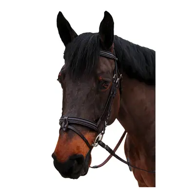 Combined riding bridle and noseband Canter Nino