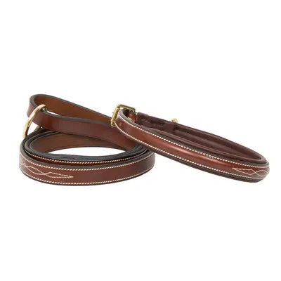 Dog collar HV Polo Legacy