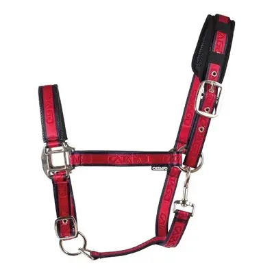 Halter for horse Catago